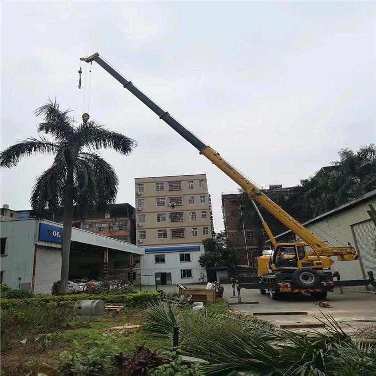 港南吊车吊大树几种方法